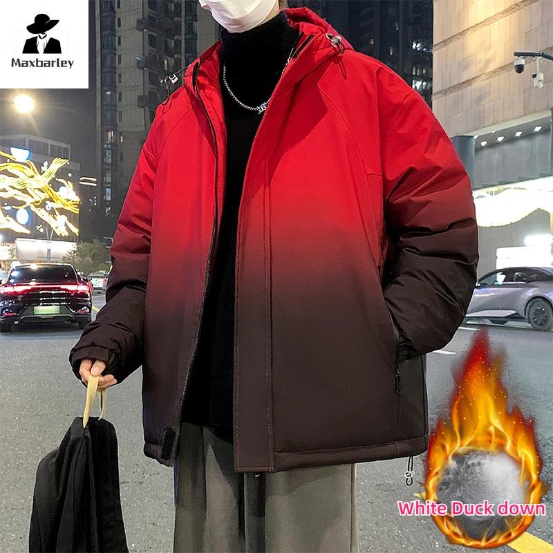  ܿ ĵ ٿ Ŷ,  Ŀ ĳ־ ׶̼ ..