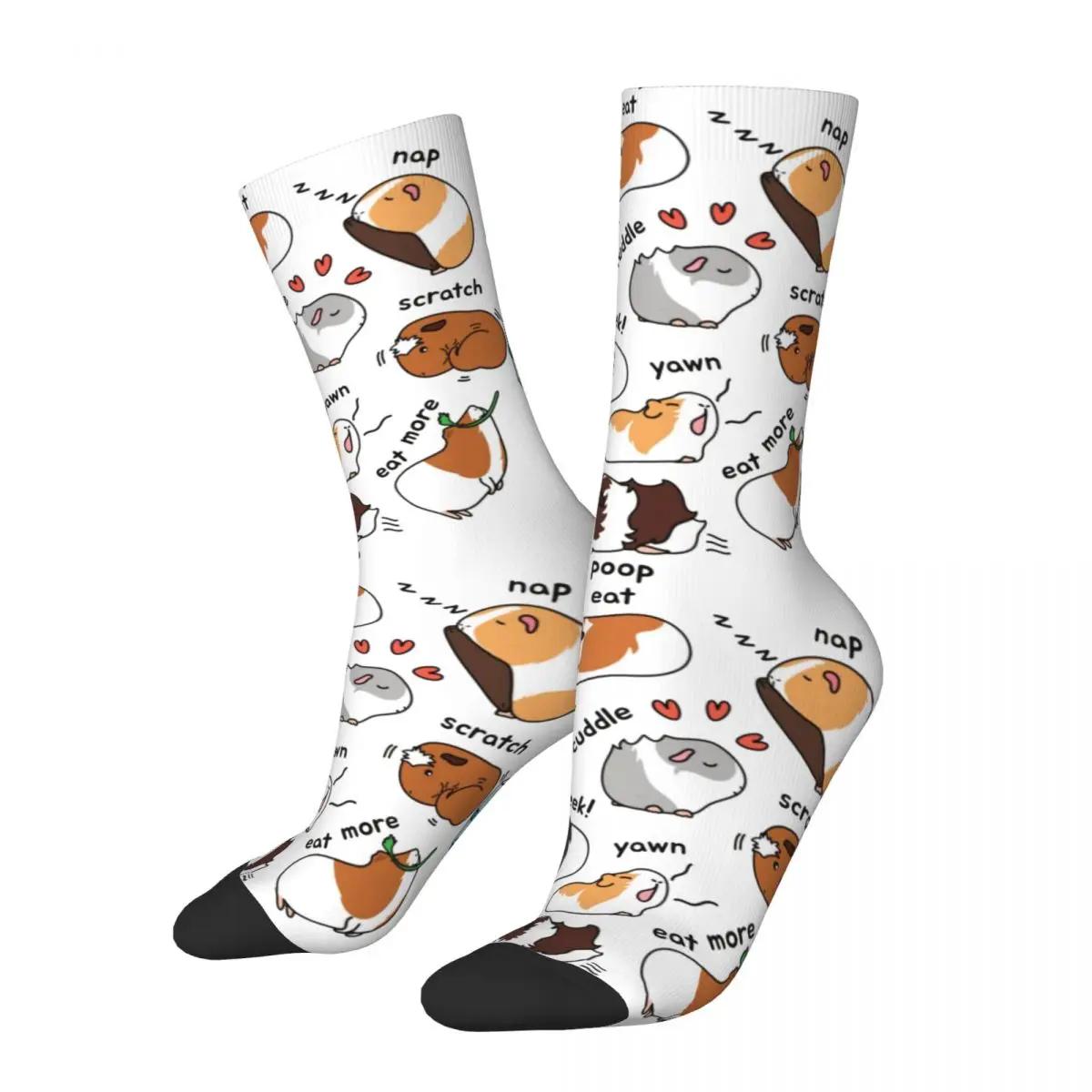 ο  縻 Ǳ  Lis Merch   ..
